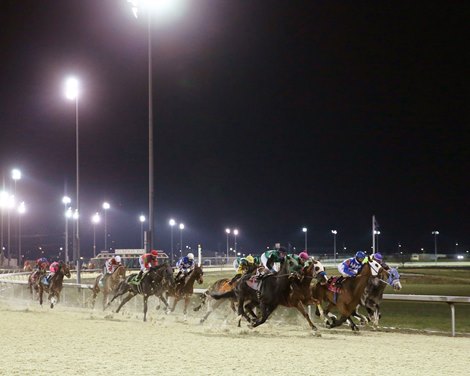 Scenics - Turfway Park - Opening Day - 120220