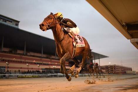 True Timber wins the 2020 Cigar Mile at Aqueduct True Timber wins the 2020 Cigar Mile at Aqueduct