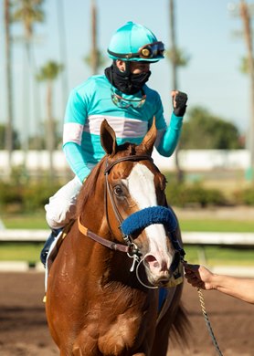 Jockey Flavien Prat guides Spielberg to the winner&#39;s circle after their victory in the Grade II, $200,000 Los Alamitos Futurity, Saturday, December 19, 2020 at Los Alamitos Race Course, Cypress CA.<br><br />
&#169; BENOIT PHOTO
