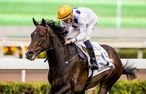 Golden Sixty and Vincent Ho win the Classic Mile at Sha Tin Racecourse, in Sha Tin Hong Kong on Monday, January 27, 2020