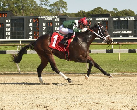 Poppy&#39;s Pride wins the 2020 Inaugural Stakes at Tampa Bay Downs                        