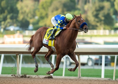 Charlatan and jockey Mike Smith win the Grade I, $300,000 Malibu Stakes, Saturday, December 26, 2020 at Santa Anita Park, Arcadia CA.<br>
© BENOIT PHOTO
