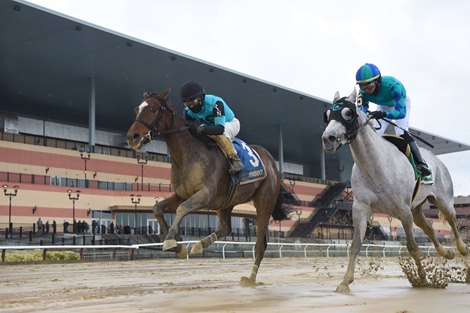 Brooklyn Strong wins the 2020 Remsen Stakes at Aqueduct                        