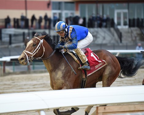 Malathaat wins the 2020 Demoiselle Stakes at Aqueduct                 