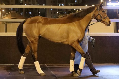 Magical arrives for LONGINES Hong Kong International Races