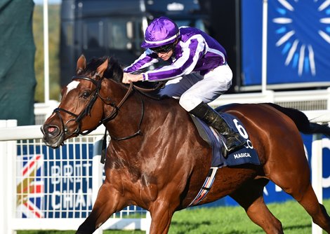 Magical (Donnacha OBrien) wins The Qipco Champion Stakes.