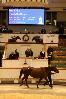 Lot 1731 Beach Frolic (GB) 2011 Ch.M.  BY Nayef (USA) EX Night Frolic (GB)       Highclere Stud    M V Magnier    2,200,000   Tattersalls December Mare Sale 01/12/20