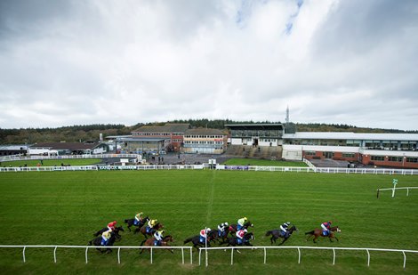 The runners in div1 of the 2m amateur jockeys hurdle race pass the stands with a circuit to race<br><br />
Exeter 20.10.20