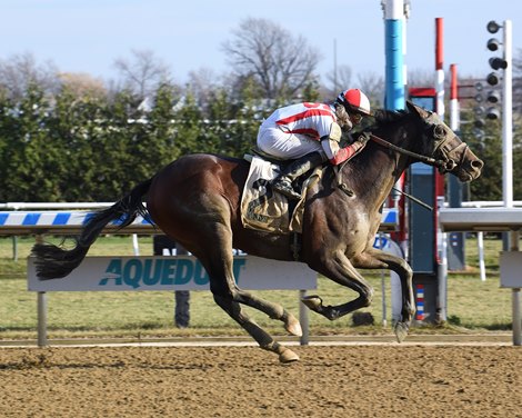 Risk Taking wins maiden special weight Sunday, December 13, 2020 at Aqueduct