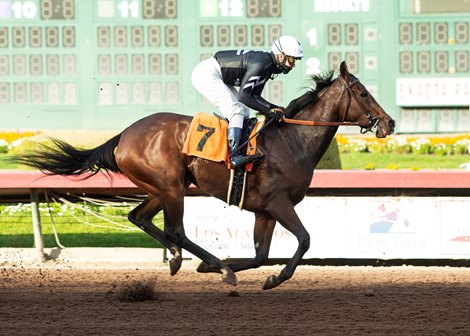 Moonlight d&#39;Oro wins maiden special weight Sunday, December 13, 2020 at Los Alamitos