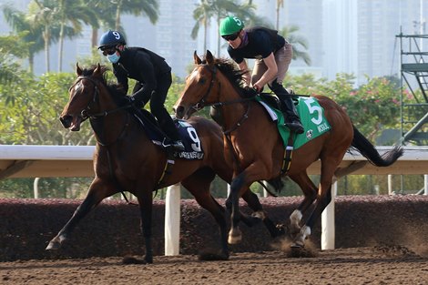 Mogul (green cap) - LONGINES Hong Kong International Races trackwork - December 10, 2020