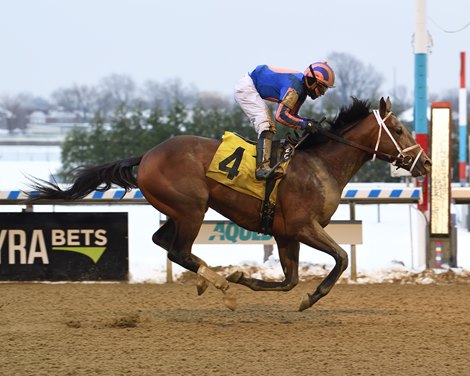 Overtook wins a maiden special weight Sunday, December 20, 2020 at Aqueduct