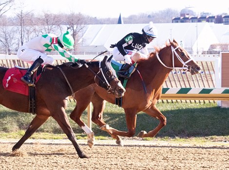 Street Lute wins the Gin Talking Stakes Saturday, December 26, 2020 at Laurel Park