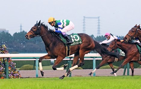 Meikei Yell wins the 2020 KBS Kyoto Sho Fantasy Stakes 