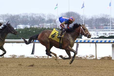 Overtook wins a maiden special weight Sunday, December 20, 2020 at Aqueduct