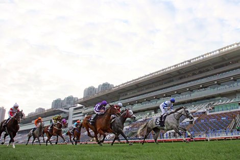 The Kiyoshi Hagiwara-trained Normcore with Zac Purton in the saddle wins the G1 LONGINES Hong Kong Cup (2000m) at Sha Tin Racecourse today