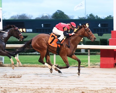 Frank&#39;s Rockette wins the American Beauty Stakes at Oaklawn Park