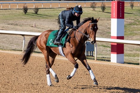 Frank's Rockette - Oaklawn Park, January 27, 2021