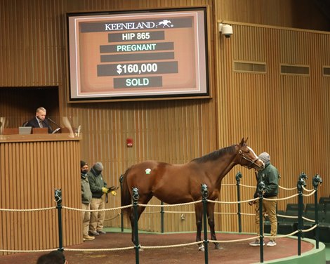 Hip 865, 2021 Keeneland January Sale