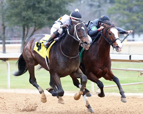 Silver State wins the Fifth Season Stakes Saturday, January 23, 2021 at Oaklawn Park