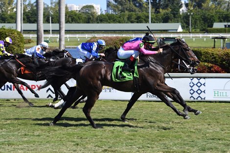 Olympic Runner wins an allowance optional claiming race Saturday, January 23, 2021 at Gulfstream Park