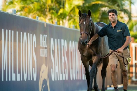 2021 Magic Millions Gold Coast Yearling Sale, Lot 869