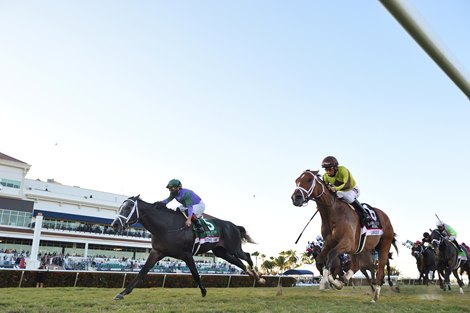 Colonel Liam wins the 2021 Pegasus World Cup Turf Invitational Stakes                     