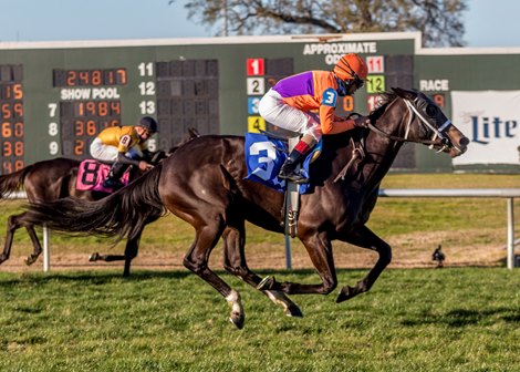 1-16-2021&#160; -&#160; Shaun Bridgmohan aboard Secret Message with Shaun Bridgmohan aboard wins the 27th running of the&#160;Marie G. Krantz Memorial Stakes at Fair Grounds.&#160; Hodges Photography / Lou Hodges, Jr.