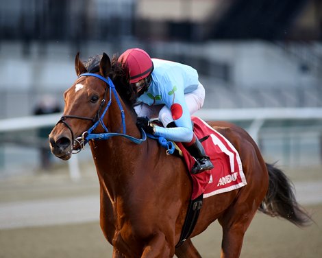 Capo Kane wins the 2021 Jerome Stakes at Aqueduct                             