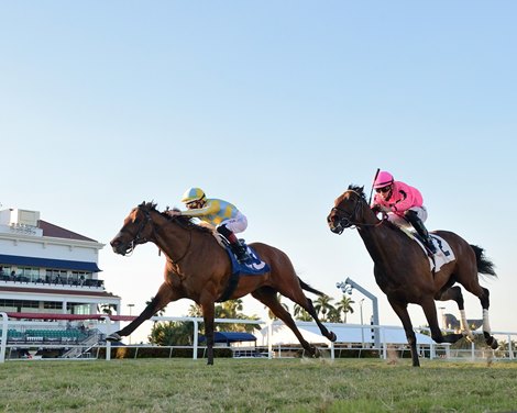 Ride a Comet wins the 2021 Tropical Turf Stakes at Gulfstream Park                             