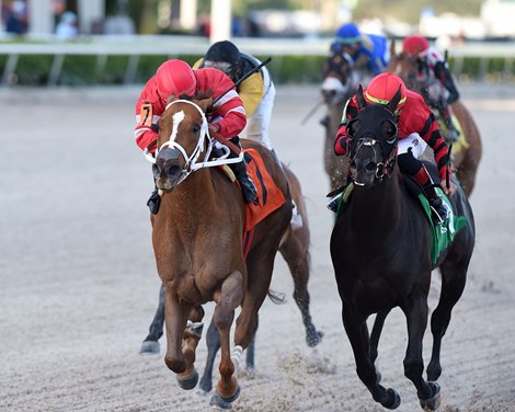 Cajun Brother wins the 2021 Sunshine Sprint Stakes at Gulfstream Park                      