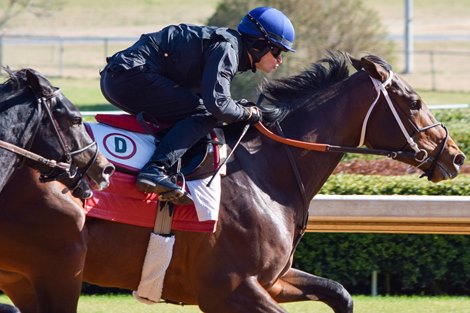 Keepmeinmind - Oaklawn Park, January 13, 2021