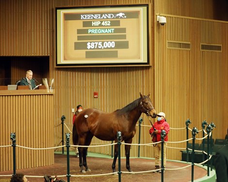 Hip 452, 2021 Keeneland January Sale