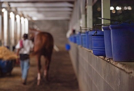 Caption: morning barn scene<br>
Kentucky Derby and Oaks training at Churchill Downs near Louisville, Ky., on Aug. 30, 2020 Churchill Downs in Louisville, KY.