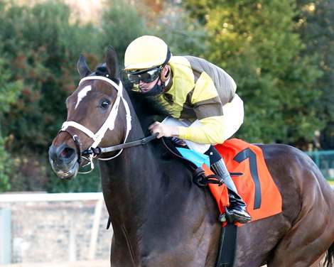 Caddo River wins the 2021 Smarty Jones Stakes at Oaklawn Park