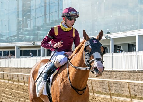 Gale wins the Geisha Stakes Saturday, January 16, 2021 at Laurel Park