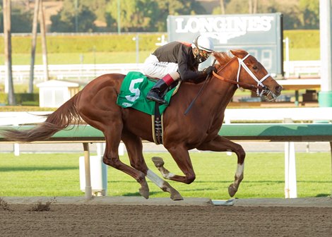 The Chosen Vron wins maiden special weight December 27, 2020 at Santa Anita Park