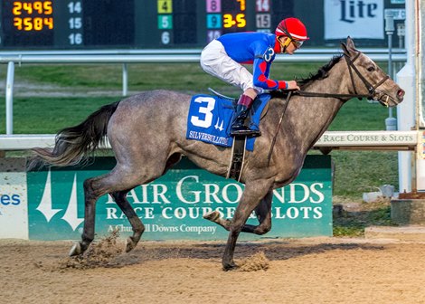 1/16/2021 - Charlie&#39;s Penny wins the 28th running of the Silverbulletday Stakes at Fair Grounds.  Hodges Photography / Lou Hodges, Jr