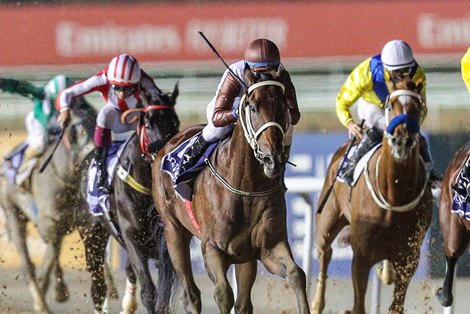 El Patriota (Antonio Cintra Pereira – Vagner Leal) wins the Al Bastakiya Trial Presented By Longines, 1900m dirt race, at the second Dubai World Cup Carnival on January 28, 2021