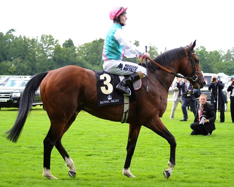 Frankel at Royal Ascot. Frankel; Tom Quelly up wins the Queen Anne Stakes; Royal Ascot 2012; photo by Mathea Kelley Ascot Race Course;