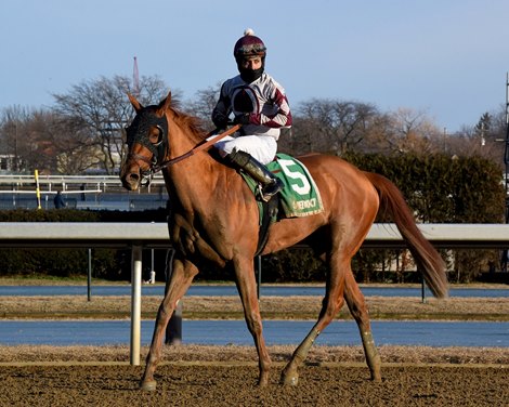 The Grass Is Blue wins the Busanda Stakes Sunday, January 24, 2021 at Aqueduct