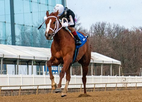 Street Lute wins the Xtra Heat Stakes Saturday, January 16, 2021 at Laurel Park