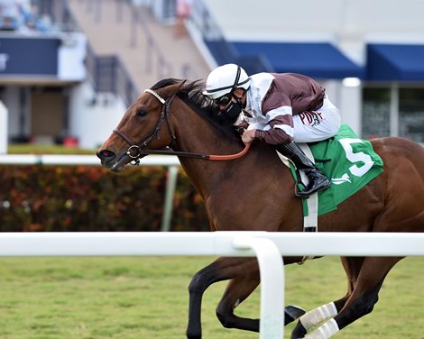White Frost wins the 2021 Sweetest Chant Stakes at Gulfstream Park                               