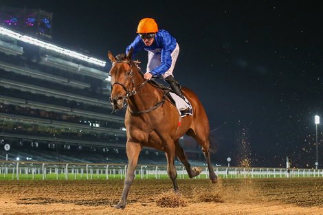 Soft Whisper ridden by Pat Cosgrave wins the 7F Conditions the UAE 1000 Guineas Trial Presented By Longines, race 4, at Dubai Meydan race track