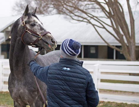 Hip 1182 Field Pass from Bluewater Sales<br><br />
Keeneland January Sales at Keeneland near Lexington, Ky., on Jan. 12, 2021. 