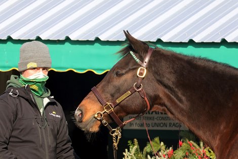 Hip 725, Mary’s Follies, 2021 Keeneland January Sale