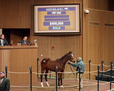 Hip 660, 2021 Keeneland January Sale