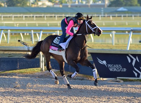 Cross Border - Gulfstream Park, January 22, 2021                    