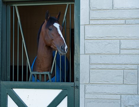 Authentic<br><br />
Eclipse Award scenes at Spendthrift Farm near Lexington, Ky., on Dec. 22, 2020. 