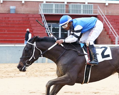 Willful Woman wins a maiden special weight Sunday, January 24, 2021 at Oaklawn Park